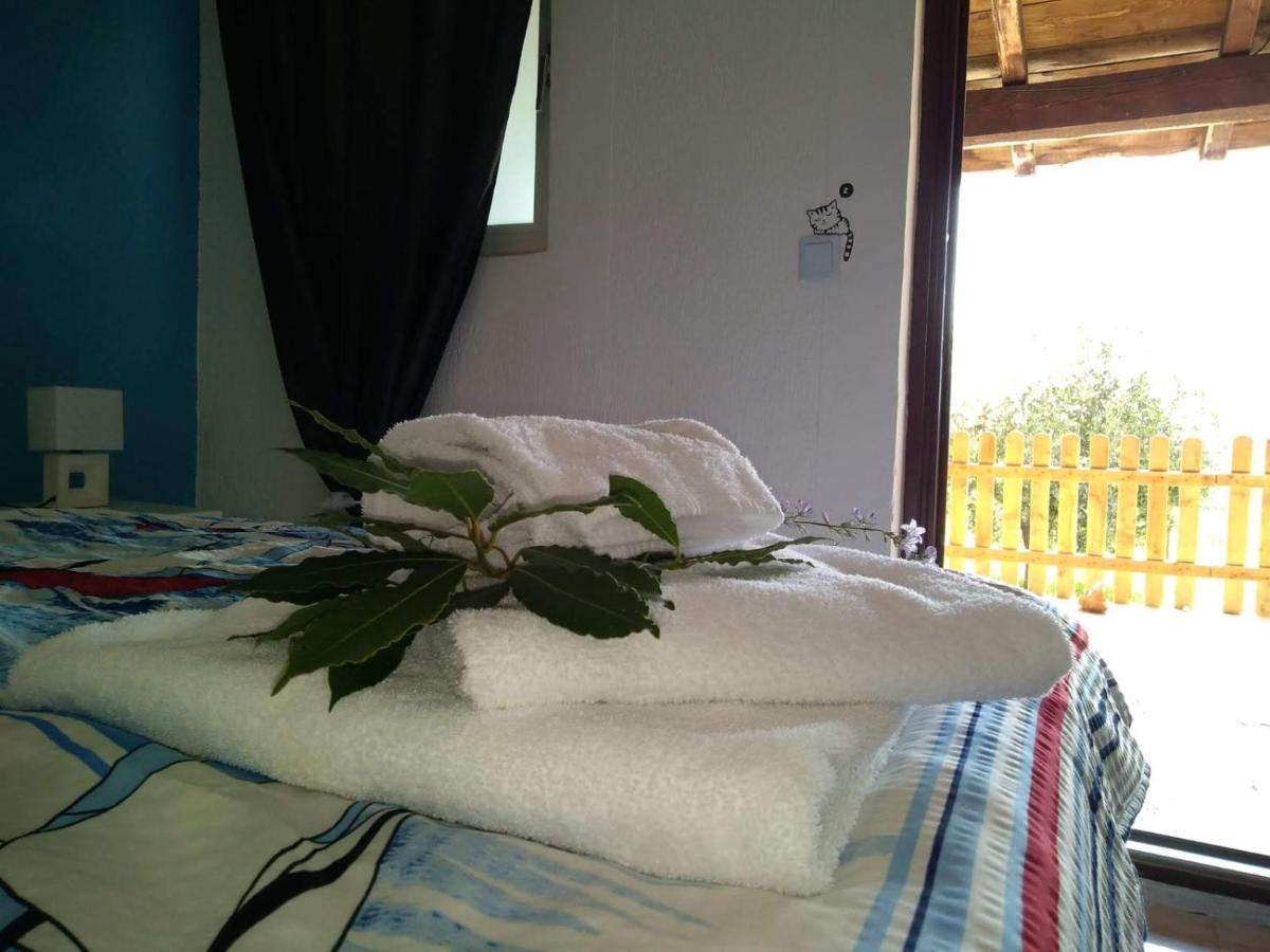 Il Giardino Degli Ulivi Hotel Rovinj Eksteriør billede